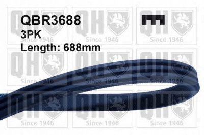 QUINTON HAZELL qbr3688 -  Поликлиновой ремень